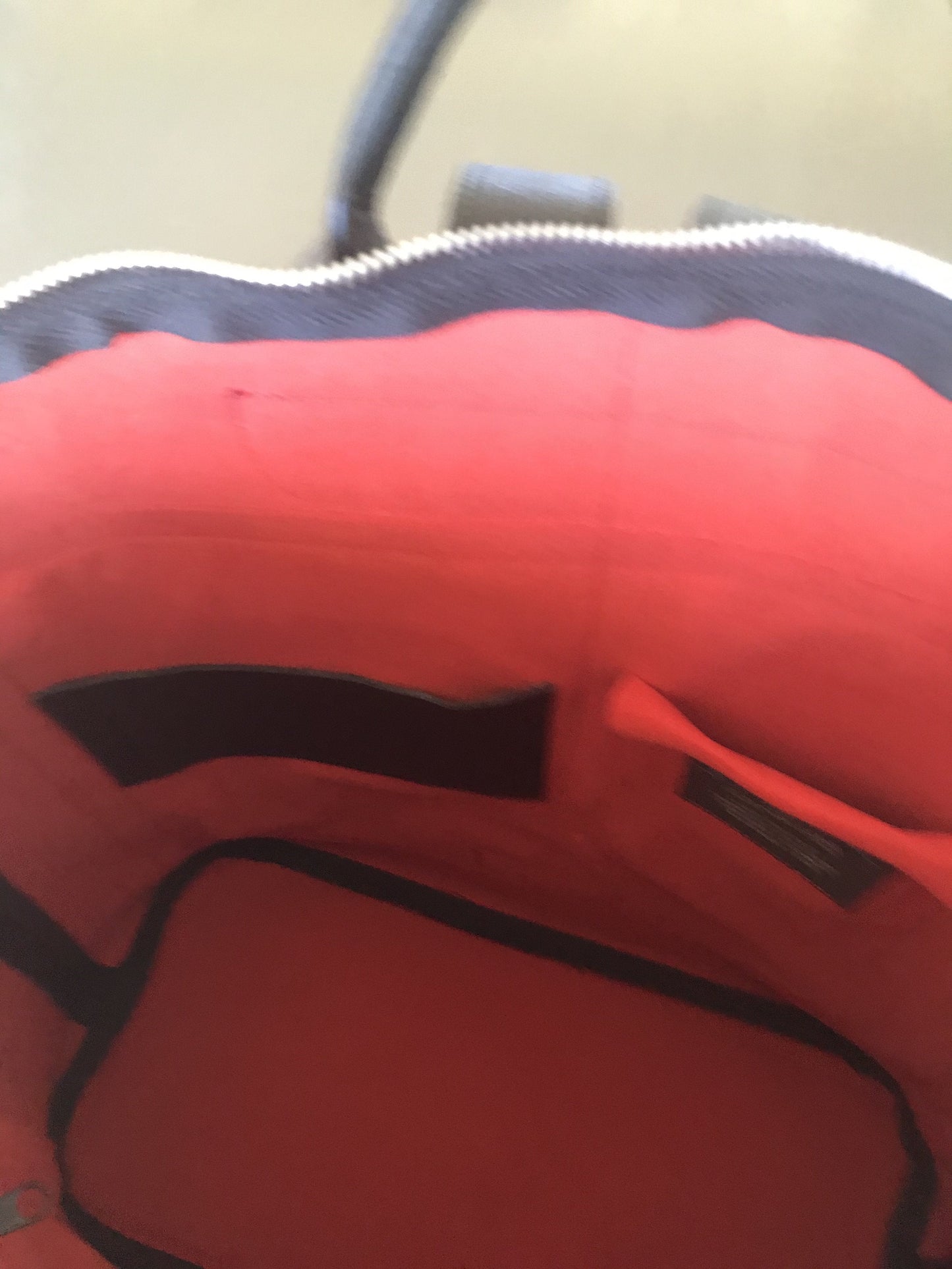SWA Collection Leather Backpack - Red